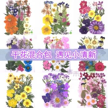壓花押花書簽真樹葉乾花DIY貼臉寫真 植物標本滴膠手機殼拍攝道具