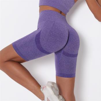 High Waist Yoga Shorts Women Seamless Fitness Sport Clothing