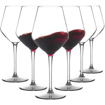 MICHLEY 2/4/6PCS Unbreakable Tritan Plastic Wine Glass Picni