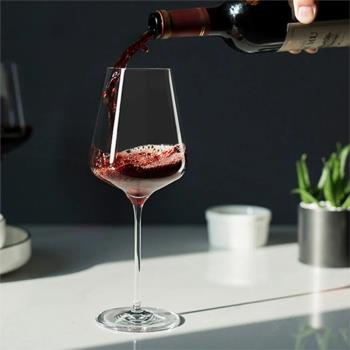 Wine Glasses Shatterproof Plastic Transparent Silicone Wine