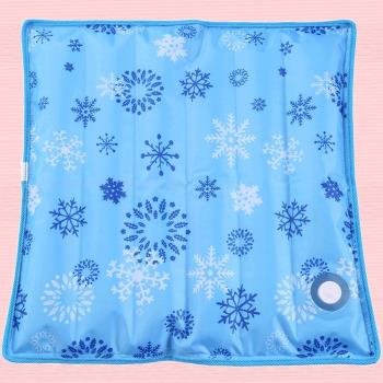 Water cushion ice cuOshions seat cushions water injection c