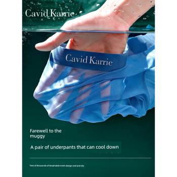 Cavid Karrie冰絲薄款速干內褲