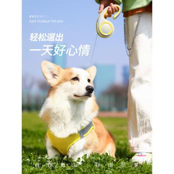 madden自動伸縮牽引繩遛狗繩子貓咪小型犬博美泰迪柯基狗狗胸背貓