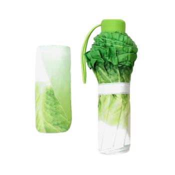 生菜大白菜創意可愛黑膠收納遮陽ins小眾蔬菜晴雨兩用折疊防曬傘
