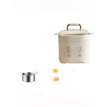 出口110v煮蛋器家用可煮粥多功能自動斷電蒸蛋器美國日本用小家電