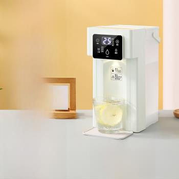 即熱燒水壺沖奶泡茶直飲水機小型家用速熱飲水機110V美規跨境220v
