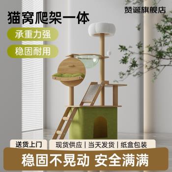 貓爬架子貓窩貓樹一體貓抓柱跳臺貓咪別墅太空艙四季通用不佔地