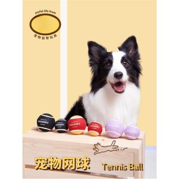 狗狗玩具球發聲網球寵物磨牙耐咬幼犬泰迪法鬥金毛邊牧大型犬訓練