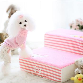 貴賓寵物狗泰迪樓梯臺階小型犬