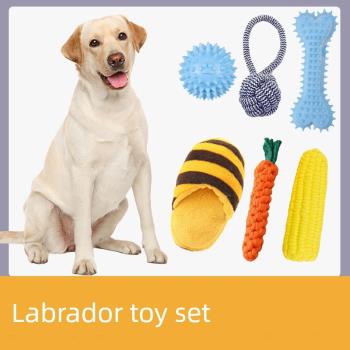 拉布拉多專用寵物狗成犬解悶玩具
