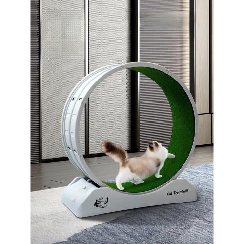 貓咪滾輪跑步機靜音小型運動健身減肥不卡夾腳塑料寵物玩具貓爬架