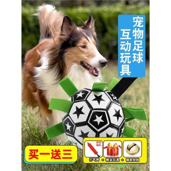 狗狗玩具球泰迪自嗨玩具拉布拉多柯基訓練專用狗足球玩具寵物足球
