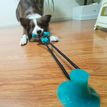 狗狗玩具大型犬泰迪磨牙耐咬互動吸盤拔河球咬繩幼犬寵物自己玩