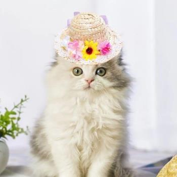 Cat Hat Ultra-Light Pet Hat Dog Cat Straw Cap Dress Up