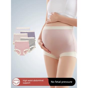 莫代爾孕婦內褲女孕中晚期中期早期高腰純棉大碼女士孕期專用冬季