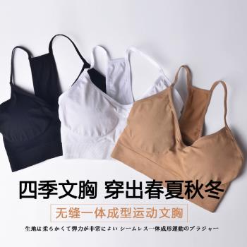 吊帶文胸女防震瑜伽跑步健身房聚攏無鋼圈彈力大碼速幹運動內衣