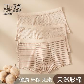3條頂呱呱彩棉男式平角內褲格子U凸短褲大碼純棉中腰印花底褲