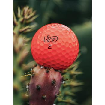 Vice Golf Pro Plus 2020高爾夫球四層110+專業遠距離球12個裝