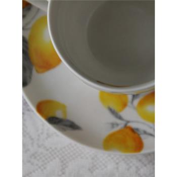 檸檬 出俄羅斯高級配色陶瓷咖啡杯碟沙拉碗湯盆焗飯微波爐烤箱