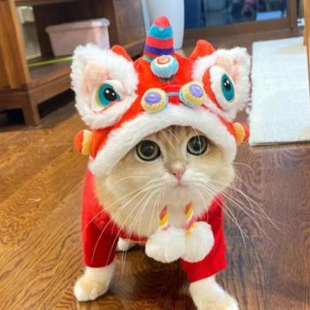 新款寵物新年虎頭帽子秋冬季保暖狗狗貓咪搞怪變身頭套頭飾用品