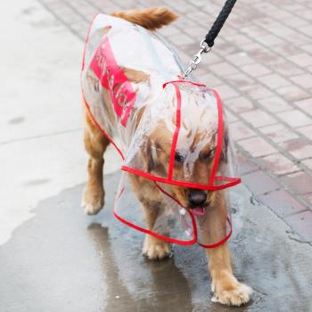 新款狗狗雨衣中大型犬薩摩金毛拉布拉多大狗雨衣夏天防水雨披寵物