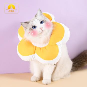 新款防水花朵形伊麗莎白圈 貓貓美容罩貓脖套防護罩寵物項圈
