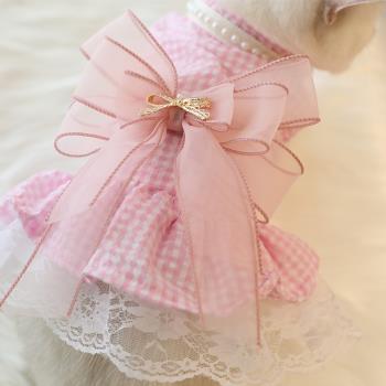 貓咪狗狗衣服夏季薄款 泰迪比熊小型犬寵物公主風裙子蝴蝶結衣服