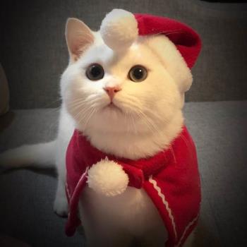 貓咪圣誕可愛衣服小紅帽頭飾斗篷披風寵物小狗狗新年喜慶裝扮帽子