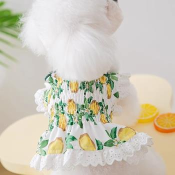 春夏季小狗狗衣服薄款透氣吊帶裙子貓咪背心小型犬寵物連衣裙