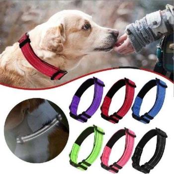 Neoprene Reflective Neoprene Dog Collar Reflective Padded