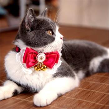 少女心寵物貓咪蝴蝶結領結鈴鐺項圈美短英短可愛英倫帥氣紳士飾品