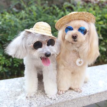 寵物小草帽狗狗帽子泰迪遮陽帽貓咪變裝頭飾中小型犬墨鏡太陽眼鏡