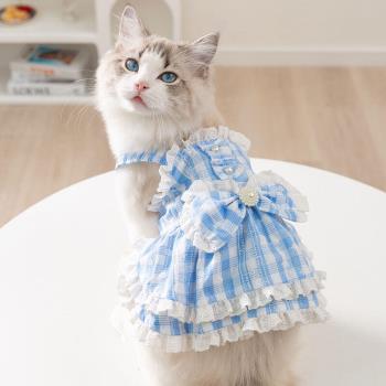 新款貓咪衣服公主風蝴蝶結格子連衣裙藍貓布偶貓薄款夏季裙子寵物