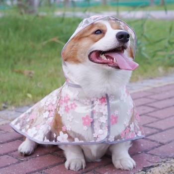 狗狗透明雨衣小型中型大型犬可愛雨衣服柯基泰迪金毛寵物披風雨衣