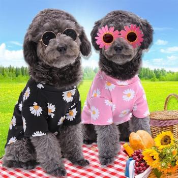 狗狗貓咪衣服夏季薄款出游泰迪比熊博美柯基法斗小中型犬寵物衣服
