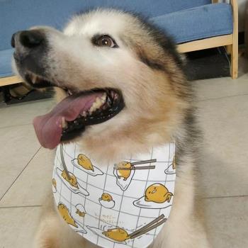 寵物狗狗圍巾口水巾大型犬金毛薩摩耶哈士奇可自立防水圍兜三角巾