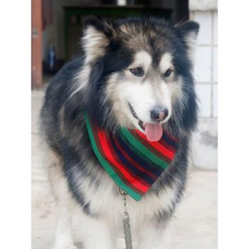 貓咪圍脖大狗圍巾泰迪比熊三角巾喝水吃飯兜防水圍脖柴犬拍照出街
