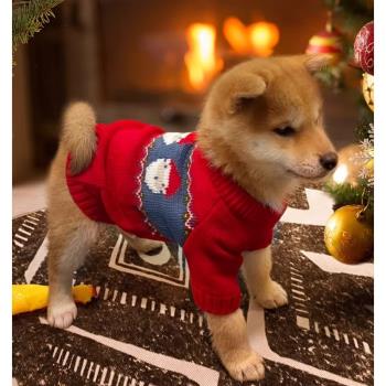 狗狗衣服小狗冬天秋冬寵物的冬裝秋季泰迪小型犬冬季幼犬柴犬毛衣