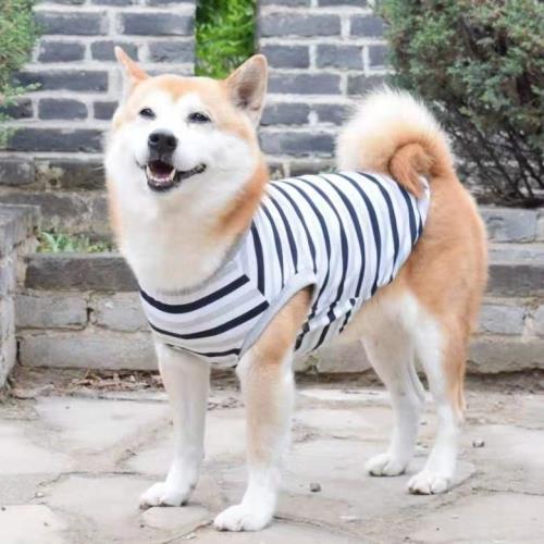 春夏薄款狗狗條紋背心 柴犬秋田哈士奇金毛泰迪柯基邊牧抖音同款
