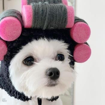 Vivid Pet Hat Cute Curly Hair Shape Dog Hat Adorable Pet Cat