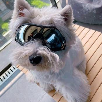 狗狗防風眼鏡護目鏡狗墨鏡寵物眼鏡防風鏡太陽鏡可調節伸縮舒適