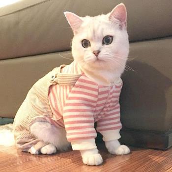 貓咪衣服幼貓保暖冬季可愛防掉毛寵物秋冬款布偶貓貓加厚冬裝四腳
