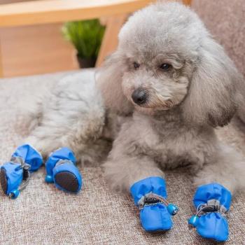 狗狗鞋子小型犬寵物泰迪專用鞋雨鞋防水防掉不掉腳小狗比熊
