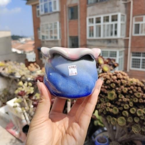 7.26景德鎮手捏粗陶多肉花盆 馬卡龍流釉 透氣控型 玩一