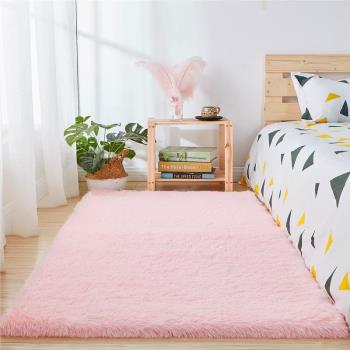 跨境地毯臥室床邊毯家用北歐ins客廳少女房間毛絨毛毯地墊床下