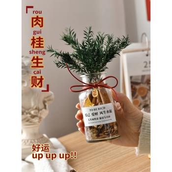 森系肉桂聚財玻璃瓶擺件房間DIY