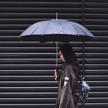 義大利Pasotti雨傘男士商務銀色眼鏡蛇晴雨傘長柄防曬黑膠太陽傘