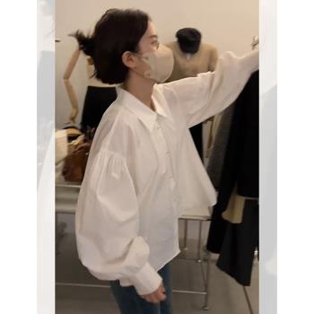 輕熟風穿搭上衣女襯衣洋氣小衫漂亮高階感白色polo領長袖襯衫春秋