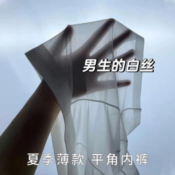 全透明男士內褲冰絲男平角褲夏季薄款無痕三角褲2024新款男生短褲