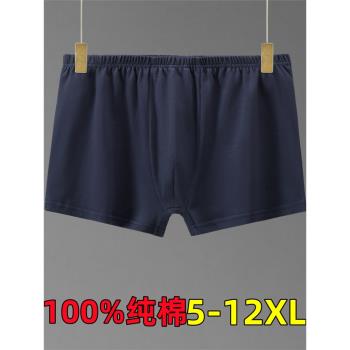 300斤胖子加肥加大男內褲平角純棉透氣夏薄款四角短褲超大碼12XL